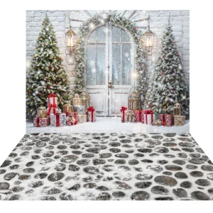 Kate Noël Arbres Neige Porte Toile de fond+Pavés Hiver Neige Sol Toile de fond