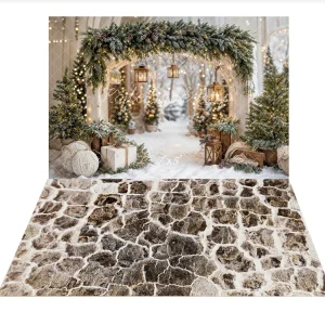 Kate Noël Arche Neige Arbres Lumière Toile de fond+Texture Pierre Gris Sol Toile de fond