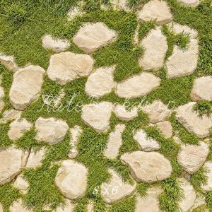 Kate Pierres Herbe Verte Sol Toile de fond en Polar conçue par Kate Image