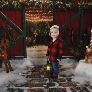 3_2cdac169-2b21-4bcb-bf8b-677817b03efb.jpgv1733879851 Kate Noël Wapiti Rouge et Vert Grange Lumière Toile de fond conçue par Emetselch