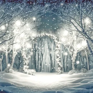 Kate Nuit Neige Forêt Lumières Toile de fond conçu par Angela Marie Photographie