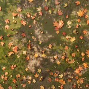 Kate Automne Feuilles mortes Prairie Sol Toile de fond conçue par Kate Image