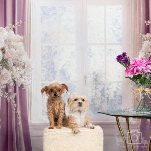 Kate Mauve Orné Chambre Fenêtre Toile de fond conçue par Mini MakeBelieve