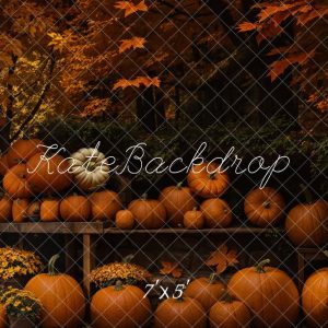 Kate Automne Étagère de citrouille Érable Toile de fond conçue par Emetselch