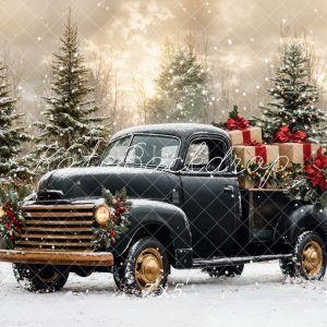 Kate Noël Camion Noir Neige Forêt Toile de fond conçue par Emetselch