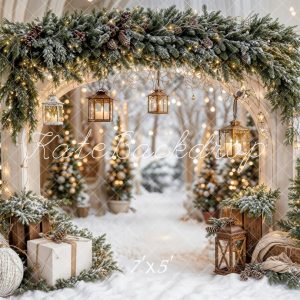 Kate Noël Arche Neige Arbres Lumière Toile de fond conçue par Emetselch