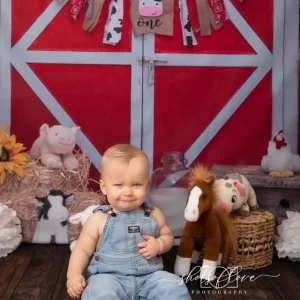 HJ18165.jpgv1645080701 Kate 1er anniversaire Animaux de ferme Cake smash Toile de fond conçue par Alisha Byrem