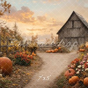 Kate Automne Grange Citrouilles Chemin Toile de fond conçue par Emetselch