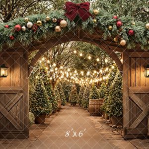 Kate Noël Arche Bois Sapins Toile de fond en Polar conçue par Emetselch