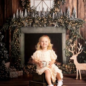 Kate Sapin de Noël Bois Cheminée Cerf Toile de fond+Bois Brun Sol Toile de fond